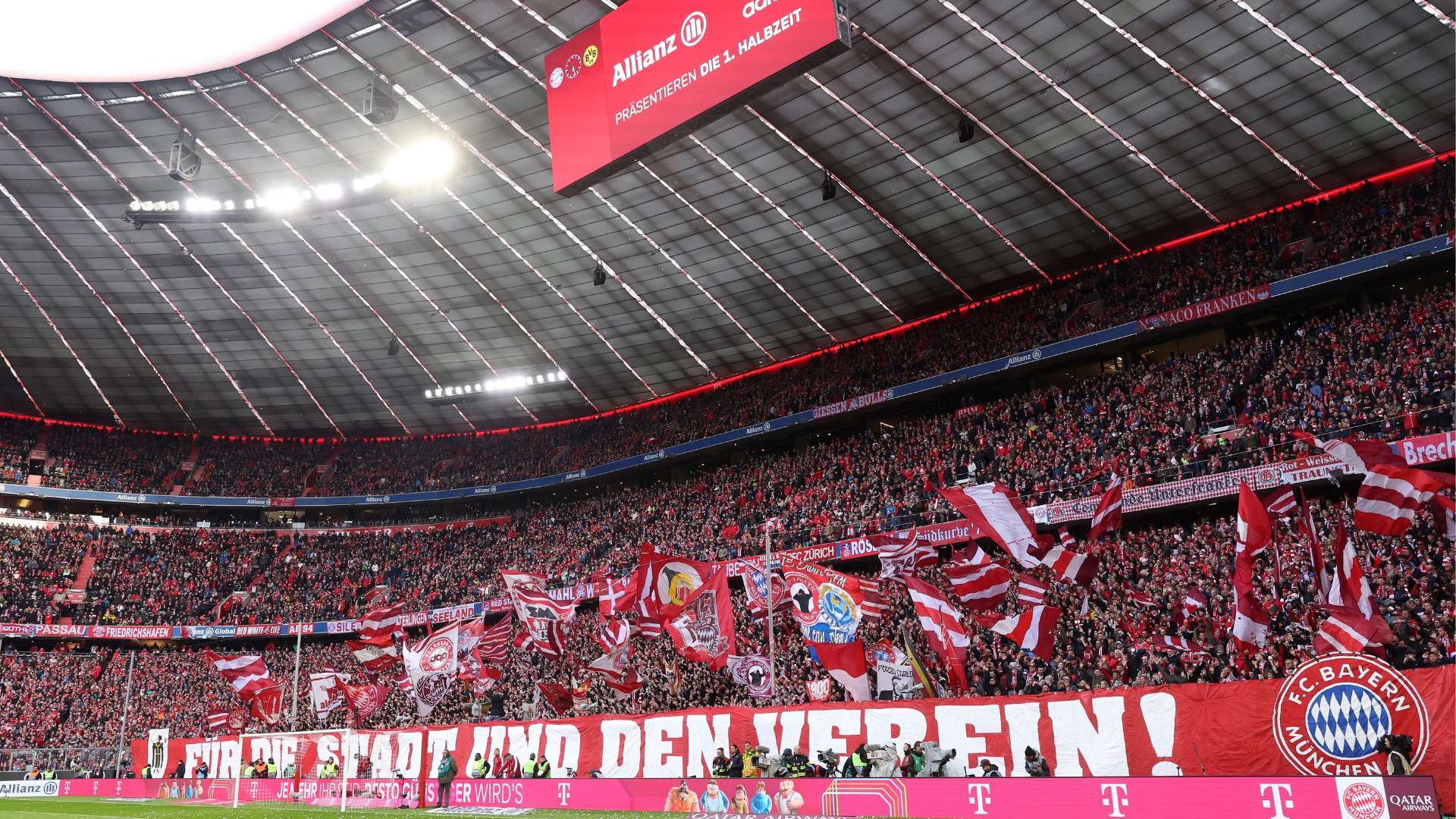 映了他们的 映了他们的