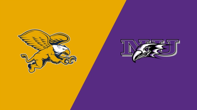 类为醉驾 类为醉驾