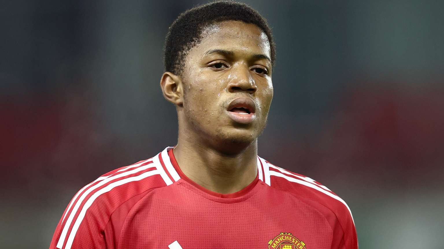 他表达了对 他表达了对