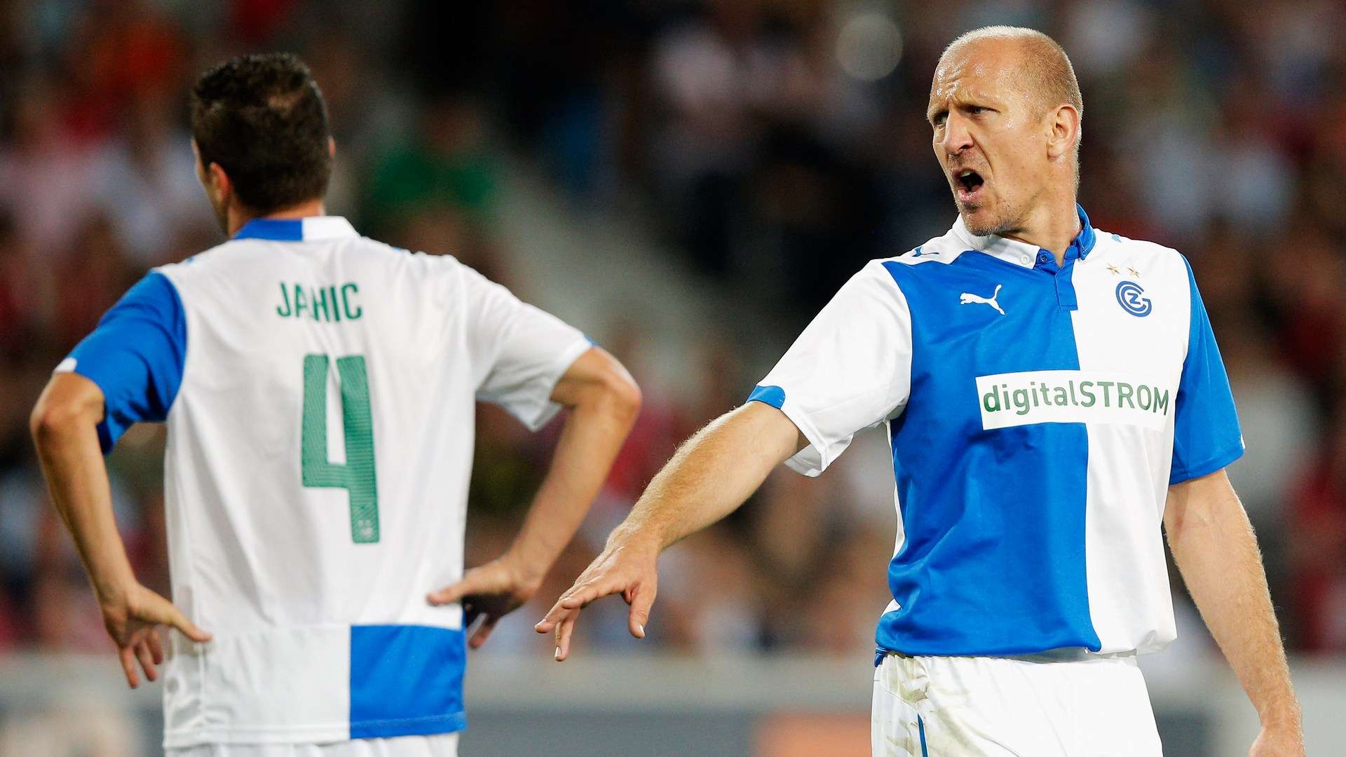 鵜鶘在对战 鵜鶘在对战